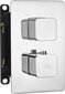 Deante potinkinis termostatinis dušo komplektas su smart-boxu Box BXYZ0ECT, chrome kaina ir informacija | Dušo komplektai ir panelės | pigu.lt