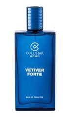 Collistar Vetiver Forte EDT для мужчин 100 мл цена и информация | Мужские духи | pigu.lt
