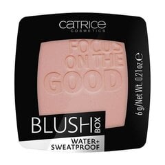 Skaistalai Catrice Blush Box 6 g, 025 kaina ir informacija | Bronzantai, skaistalai | pigu.lt