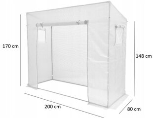 Šiltnamis pomidorams, žalia 200x80x170 cm kaina ir informacija | Šiltnamiai | pigu.lt