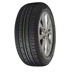 RoyalBlack ROYAL PERFORMANCE 225/55R16 99 W XL цена и информация | Летняя резина | pigu.lt