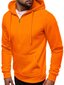 Džemperis Lore, oranžinis цена и информация | Džemperiai vyrams | pigu.lt