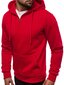 Džemperis Lore, raudonas цена и информация | Džemperiai vyrams | pigu.lt
