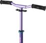 Paspirtukas Nils Extreme HD145, Purple-Mint kaina ir informacija | Paspirtukai | pigu.lt