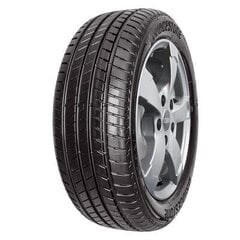 Bridgestone Alenza1 245/45R20 103 W kaina ir informacija | Vasarinės padangos | pigu.lt