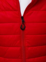 Куртка Doli, красного цвета цена и информация | Женские куртки | pigu.lt
