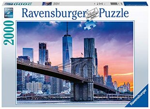 RAVENSBURGER dėlionė Niujorko panorama, 2000d., 16011 kaina ir informacija | Dėlionės (puzzle) | pigu.lt