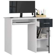 Rašomasis stalas NORE Pin, baltas/tamsiai pilkas kaina ir informacija | Kompiuteriniai, rašomieji stalai | pigu.lt