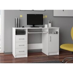 Письменный стол NORE Ana, 124 см, белого цвета цена и информация | Компьютерные, письменные столы | pigu.lt
