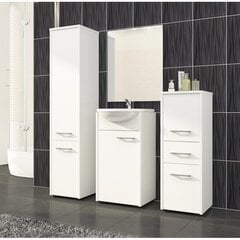 Подвесной шкафчик для ванной комнаты NORE Fin W30, белый цена и информация | Шкафчики для ванной | pigu.lt
