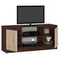 TV staliukas NORE CLP K120, rudos/ąžuolos spalvos kaina ir informacija | TV staliukai | pigu.lt