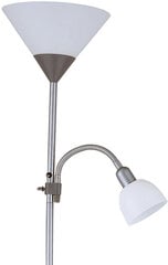 Напольный светильник Platinet PFLF066GR, серый цена и информация | Торшеры | pigu.lt