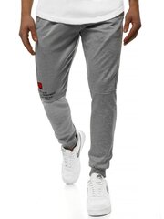 Vyriškos šviesiai pilkos laisvalaikio kelnės "Hedod" цена и информация | Мужская спортивная одежда | pigu.lt
