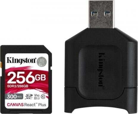 Kingston MLPR2/256GB цена и информация | Atminties kortelės telefonams | pigu.lt