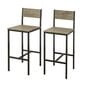 Dviejų kėdžių komplektas SoBuy FST53, rudas/juodas kaina ir informacija | Virtuvės ir valgomojo kėdės | pigu.lt