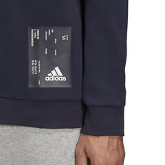 Džemperis moterims Adidas M Graphic Crew Blue kaina ir informacija | Džemperiai moterims | pigu.lt