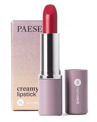 Kreminiai lūpų dažai Paese Nanorevit Creamy Lipstick, 17 rose, 4,3 g kaina ir informacija | Lūpų dažai, blizgiai, balzamai, vazelinai | pigu.lt