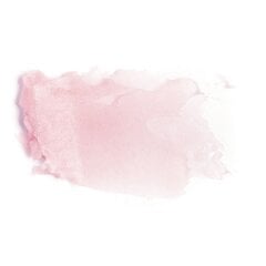 Lūpų balzamas-dažų pagrindas Paese Nanorevit Lip Care 2.2 g, 40 Light Pink kaina ir informacija | Lūpų dažai, blizgiai, balzamai, vazelinai | pigu.lt