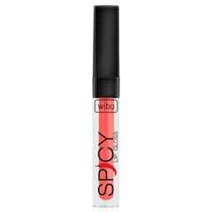 Lūpų blizgis Wibo Spicy Lip Gloss 8, 3 ml kaina ir informacija | Lūpų dažai, blizgiai, balzamai, vazelinai | pigu.lt