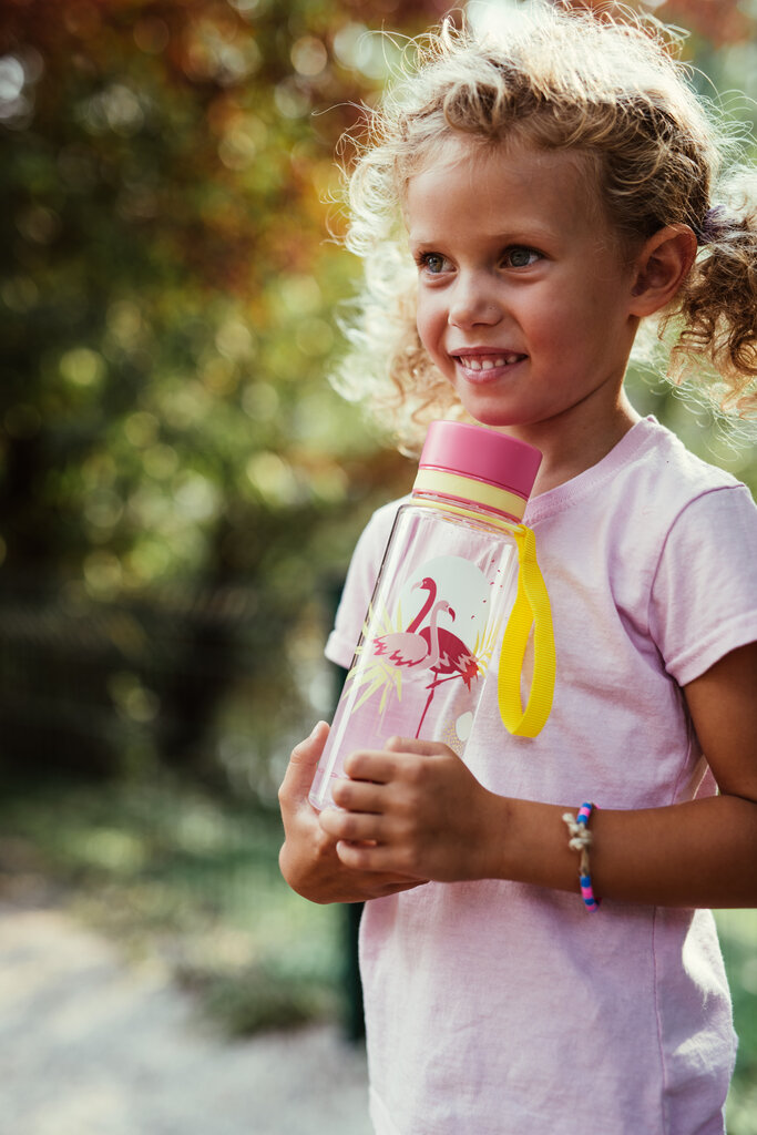 Gertuvė Equa Flamingo, 400 ml kaina ir informacija | Buteliukai kūdikiams ir jų priedai | pigu.lt