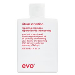 Puoselėjantis šampūnas evo ritual salvation, 300 ml kaina ir informacija | Šampūnai | pigu.lt