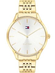 Tommy Hilfiger moteriškas laikrodis Gray 1782211, aukso spalvos kaina ir informacija | Moteriški laikrodžiai | pigu.lt