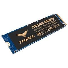 TeamGroup TM8FP7001T0C311 1TB SSD цена и информация | Внутренние жёсткие диски (HDD, SSD, Hybrid) | pigu.lt