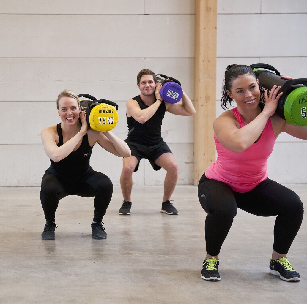 Jėgos maišas Gymsitck 5 kg цена и информация | Svoriai, svarmenys, štangos | pigu.lt