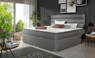 Кровать NORE Softy 140x200 см, темно-серая цена и информация | Кровати | pigu.lt