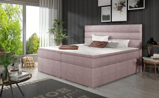 Lova NORE Softy 160x200, rožinė kaina ir informacija | Lovos | pigu.lt