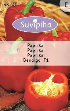 Vienametės paprikos Bendigo F1 kaina ir informacija | Daržovių, uogų sėklos | pigu.lt