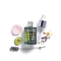 Detoksikuojantis naktinis veido aliejus Caudalie Vineactiv 30 ml kaina ir informacija | Veido aliejai, serumai | pigu.lt