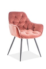 2-jų kėdžių komplektas Signal Meble Cherry, rožinis kaina ir informacija | Virtuvės ir valgomojo kėdės | pigu.lt