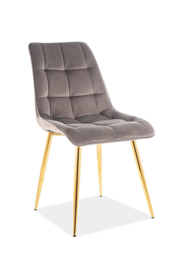 4-ių kėdžių komplektas Signal Meble Chic, pilkas/auksinis kaina ir informacija | Virtuvės ir valgomojo kėdės | pigu.lt