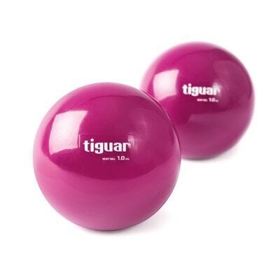 Svoriniai kamuoliai Tiguar, 1 kg цена и информация | Svoriniai kamuoliai | pigu.lt