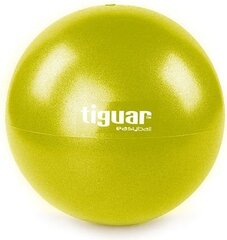 Гимнастический мяч Tiguar Easy Ball, 25cm цена и информация | Гимнастические мячи | pigu.lt