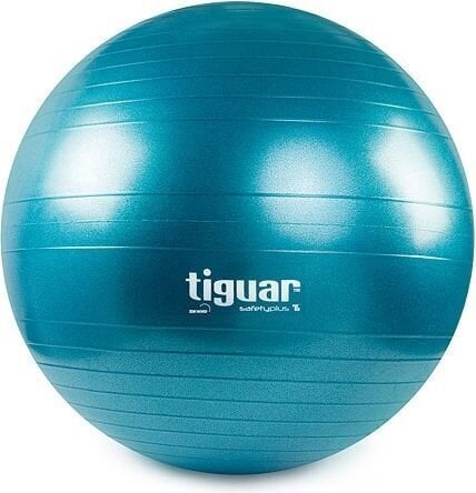 Gimnastikos kamuolys Tiguar Safety Plus, 75cm kaina ir informacija | Gimnastikos kamuoliai | pigu.lt