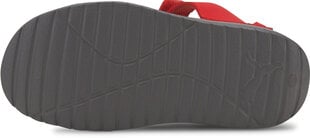 Puma Sandalai vaikams Divecat V2 Injex Grey Red kaina ir informacija | Basutės vaikams | pigu.lt