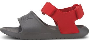 Puma Sandalai vaikams Divecat V2 Injex Grey Red kaina ir informacija | Basutės vaikams | pigu.lt