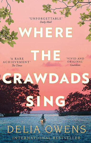 Where the Crawdads Sing kaina ir informacija | Romanai | pigu.lt