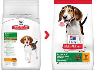 Hill's Science Plan Puppy Medium ėdalas šuniukams su vištiena, 0.8 kg kaina ir informacija | Sausas maistas šunims | pigu.lt