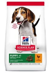 Hill's Science Plan Puppy Medium ėdalas šuniukams su vištiena, 18 kg kaina ir informacija | Sausas maistas šunims | pigu.lt