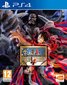 One Piece Pirate Warrriors 4, PS4 kaina ir informacija | Kompiuteriniai žaidimai | pigu.lt