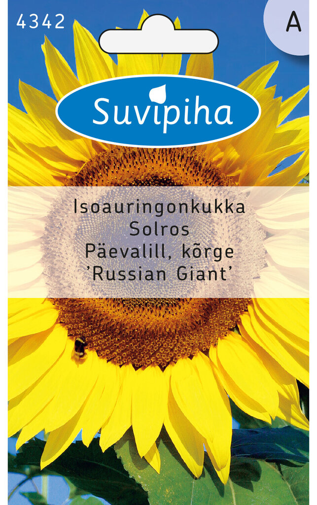 Paprastosios saulėgražos, 3g цена и информация | Gėlių sėklos | pigu.lt