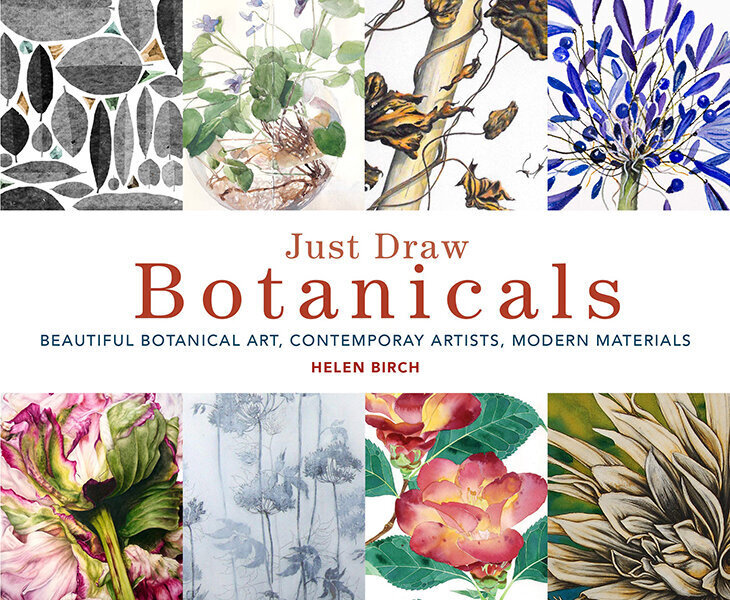 Just Draw Botanicals : Beautiful Botanical Art, Contemporary Artists, Modern Materials kaina ir informacija | Enciklopedijos ir žinynai | pigu.lt