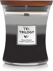 WoodWick ароматическая свеча, Trilogy Fireside, Красное дерево, Сандал, Гвоздика, 609 г, 275,0 г цена и информация | Подсвечники, свечи | pigu.lt