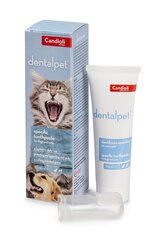 DentalPet 50 мл цена и информация | Средства по уходу за животными | pigu.lt