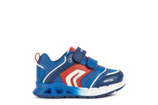 Geox bateliai beriukams Dakin Boy, mėlyna/raudona цена и информация | Детская спортивная обувь | pigu.lt