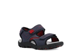 Geox vaikiškos mėlynos basutės JR SANDAL STRADA цена и информация | Детские сандали | pigu.lt