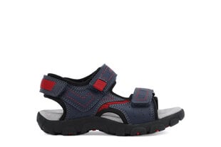 Geox vaikiškos mėlynos basutės JR SANDAL STRADA цена и информация | Детские сандали | pigu.lt